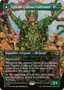 Trystan, Callous Cultivator (Borderless) [Lorwyn Eclipsed]