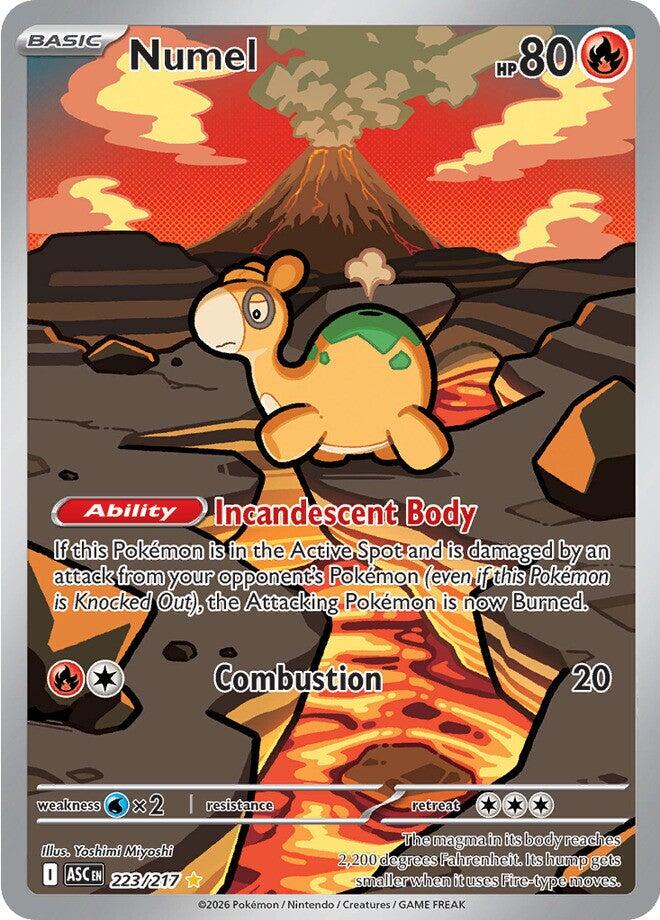 Numel (223/217) [Mega Evolution: Ascended Heroes]