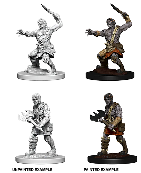 Nolzur's Marvelous Miniatures: Nameless One
