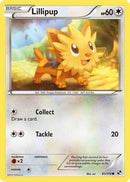 Lillipup (81/114) [Black & White: Base Set]