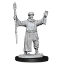 Nolzur's Marvelous Miniatures: Male Human Wizard