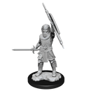 Nolzur's Marvelous Miniatures: Male Human Fighter