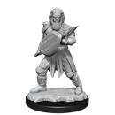Nolzur's Marvelous Miniatures: Male Human Fighter