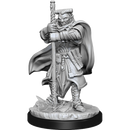 Nolzur's Marvelous Miniatures: Hobgoblin Devastator & Iron Shadow