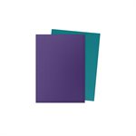 Dragon Shield: Standard 100ct Sleeves - Soul & Petrol (Dual Matte)
