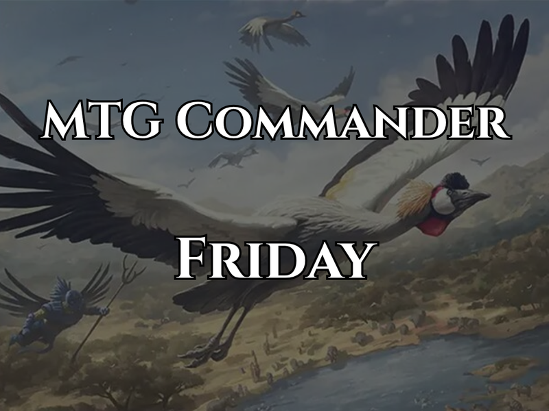 MTG: Casual Commander Night