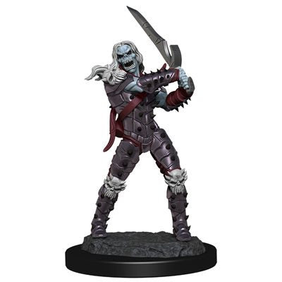 D&D Nolzur's Marvelous Unpainted Miniatures: Wave 11: Wight & Ghast (EN)