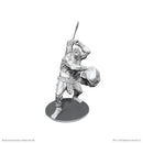 D&D Nolzur's Marvelous Unpainted Miniatures: Wave 26: B'rohg (EN)