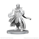 Critical Role Unpainted Miniatures: Wave 26: Beauregard Lionett & Caleb Widogast (EN)