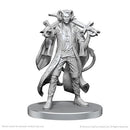 Critical Role Unpainted Miniatures: Wave 26: Mollymauk Tealeaf & Caduceus Clay (EN)