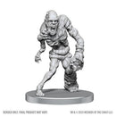 D&D Nolzur's Marvelous Unpainted Miniatures: Wave 28: Rutterkin & Maw Demon (EN)