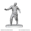 D&D Nolzur's Marvelous Unpainted Miniatures: Wave 28: Swarm of Rot Grubs & Rot Grub Victim (EN)
