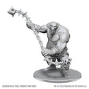 D&D Nolzur's Marvelous Unpainted Miniatures: Wave 28: Ogre Chain Brute (EN)