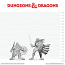 D&D Nolzur's Marvelous Unpainted Miniatures: Dwarf Fighter & Orc Paladin (EN) ^ Q3 2026