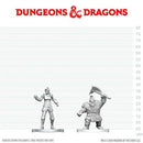 D&D Nolzur's Marvelous Unpainted Miniatures: Cultist of Bane & Dwarf Zhentilar Soldier (EN) ^ Q3 2