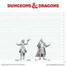 D&D Nolzur's Marvelous Unpainted Miniatures: Knight & Mage Apprentice (EN) ^ Q3 2026