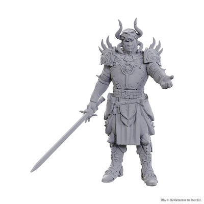 D&D Nolzur's Marvelous Unpainted Miniatures: Special Edition Baldur's Gate 3: Sarevok Anchev & Rapha