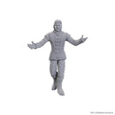 D&D Nolzur's Marvelous Unpainted Miniatures: Special Edition Baldur's Gate 3: Sarevok Anchev & Rapha