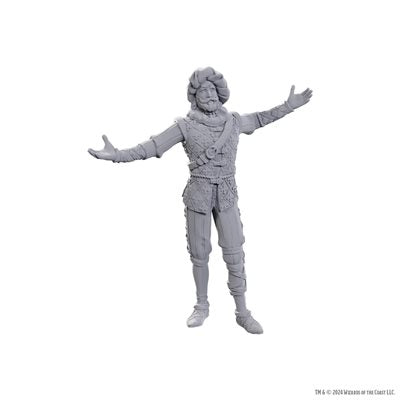 D&D Nolzur's Marvelous Unpainted Miniatures: Special Edition Baldur's Gate 3: Volo & Withers (EN)