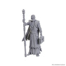 D&D Nolzur's Marvelous Unpainted Miniatures: Special Edition Baldur's Gate 3: Volo & Withers (EN)