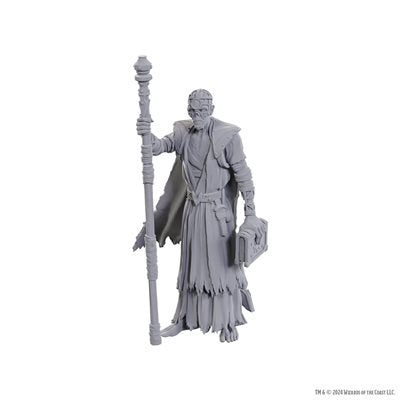 D&D Nolzur's Marvelous Unpainted Miniatures: Special Edition Baldur's Gate 3: Volo & Withers (EN)
