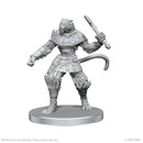 Pathfinder Battles Deep Cuts Unpainted Miniatures: Elf Hunter & Catfolk Bandit (EN)