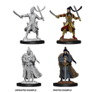 Nolzur's Marvelous Miniatures: Male Elf Paladin