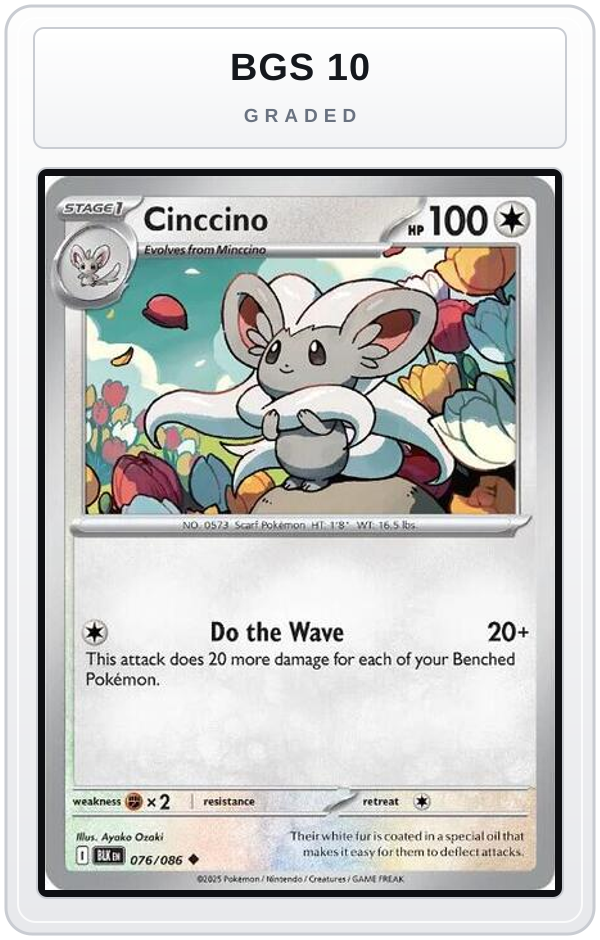 Graded - Cinccino — BGS 10 graded overlay
