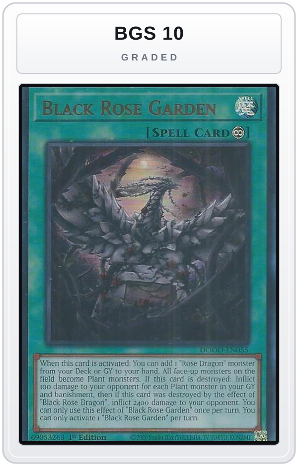 Graded - Black Rose Garden — BGS 10 graded overlay