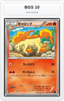 Graded - Rapidash — BGS 10 graded overlay