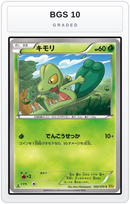 Graded - Treecko — BGS 10 graded overlay
