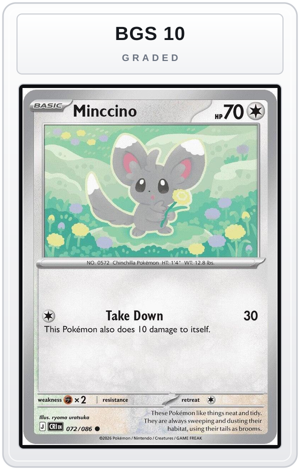 Graded - Minccino — BGS 10 graded overlay