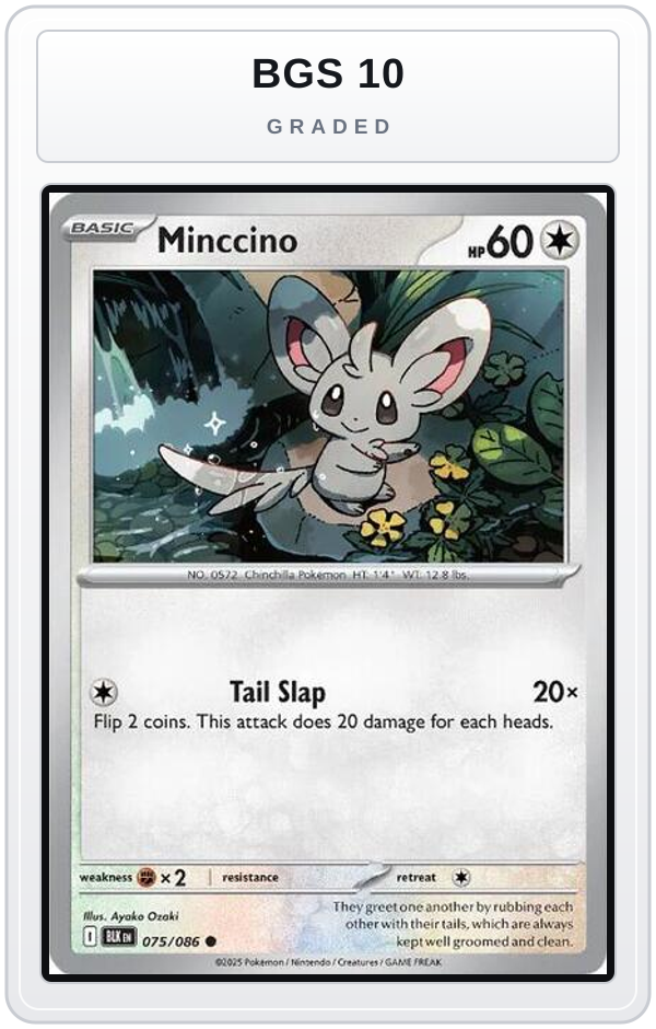 Graded - Minccino — BGS 10 graded overlay