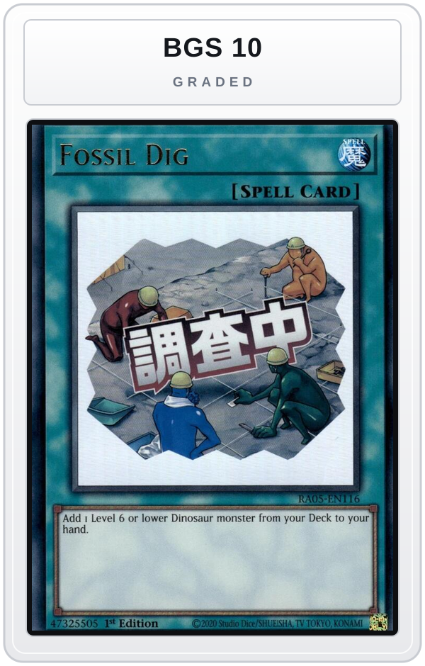 Graded - Fossil Dig — BGS 10 graded overlay