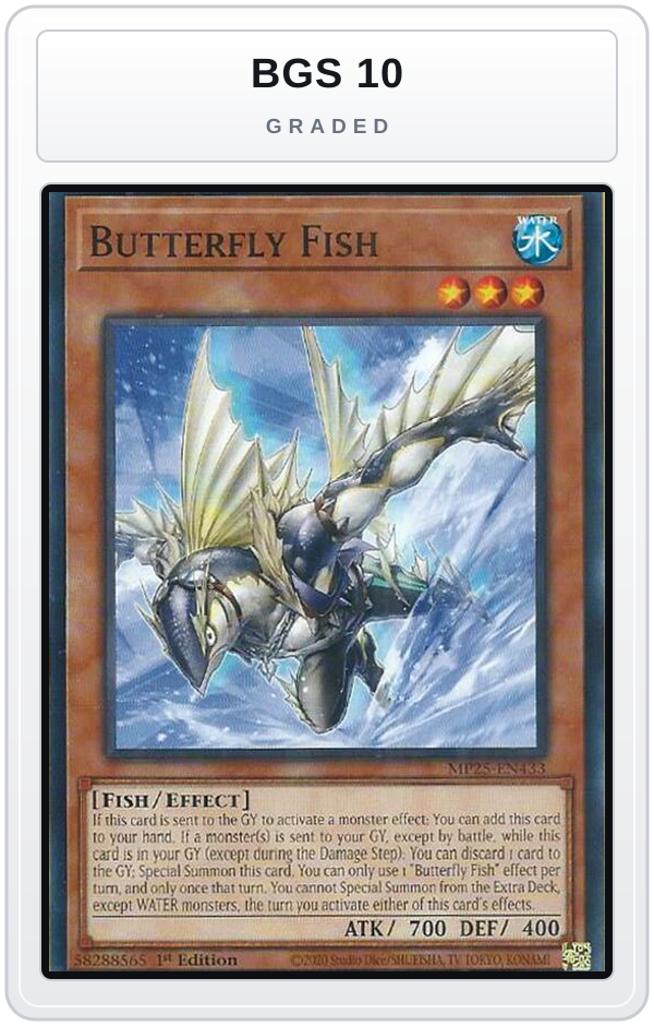 Graded - Butterfly Fish — BGS 10 graded overlay