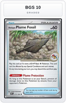Graded - Antique Plume Fossil — BGS 10 graded overlay