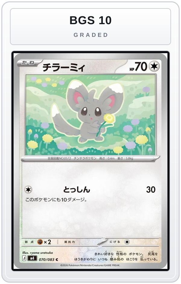 Graded - Minccino — BGS 10 graded overlay