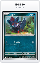 Graded - Zorua — BGS 10 graded overlay