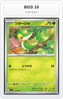 Graded - Snivy — BGS 10 graded overlay
