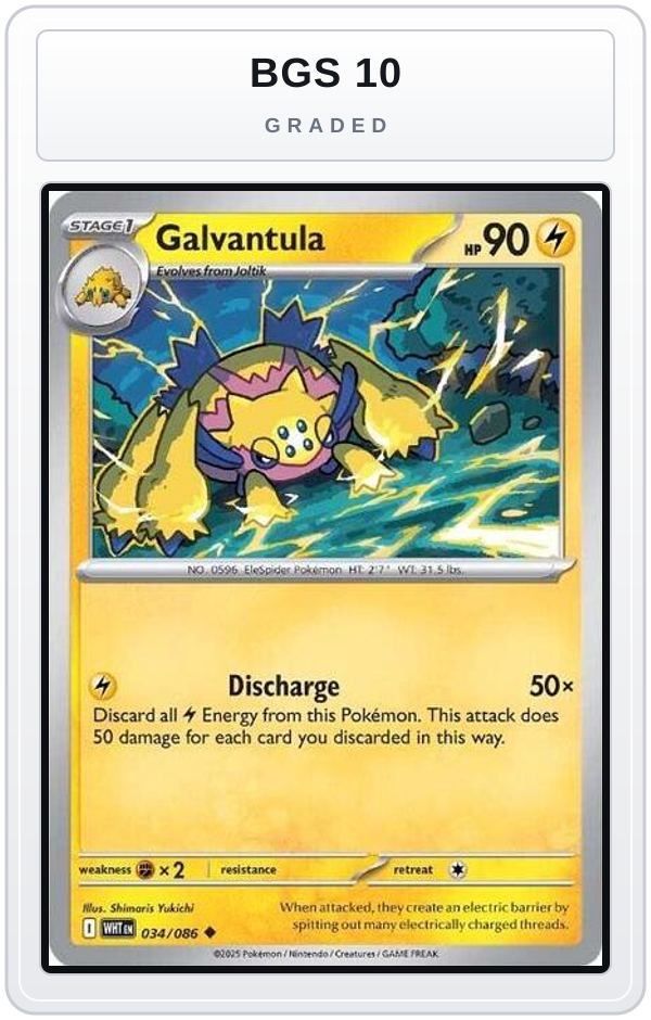 Graded - Galvantula — BGS 10 graded overlay