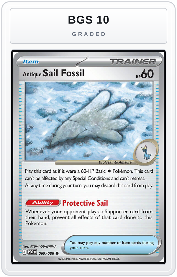 Graded - Antique Sail Fossil — BGS 10 graded overlay