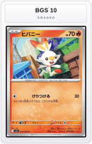 Graded - Scorbunny — BGS 10 graded overlay