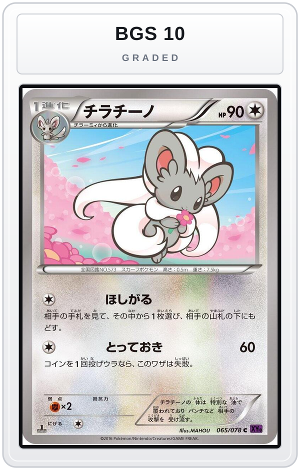 Graded - Cinccino — BGS 10 graded overlay