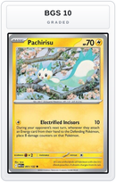 Graded - Pachirisu — BGS 10 graded overlay