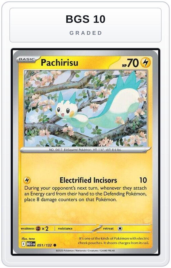 Graded - Pachirisu — BGS 10 graded overlay
