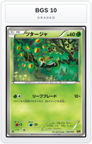 Graded - Snivy — BGS 10 graded overlay
