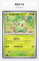 Graded - Chikorita — BGS 10 graded overlay