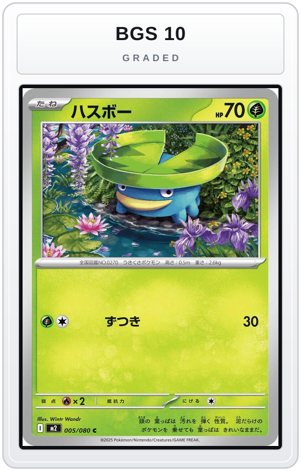 Graded - Lotad — BGS 10 graded overlay
