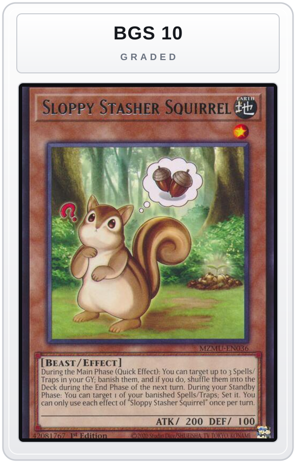 Graded - Sloppy Stasher Squirrel — BGS 10 graded overlay