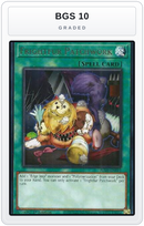 Graded - Frightfur Patchwork — BGS 10 graded overlay